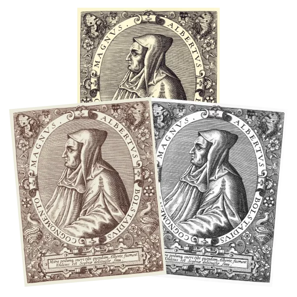 Albert the Great Print Theodore de Bry