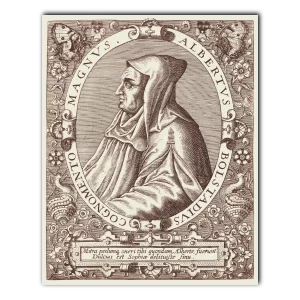 Albert the Great Theodore de Bry brown