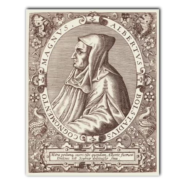 Albert the Great Theodore de Bry brown