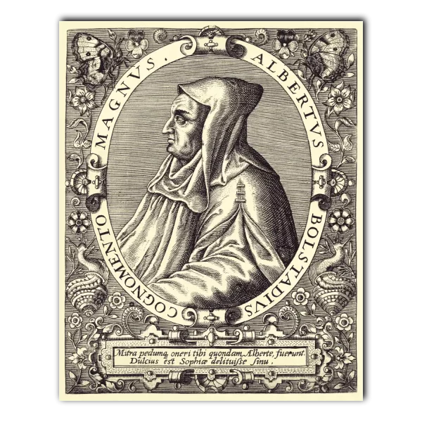 Albert the Great Theodore de Bry cream