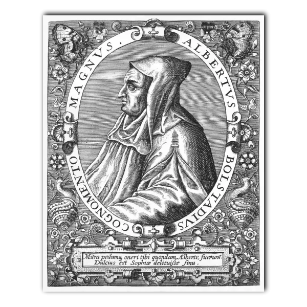 Albert the Great Theodore de Bry white
