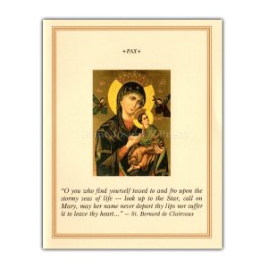 Summer Saint Note Cards Set 1 - Our Lady of Perpetual Help