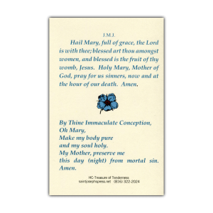Treasure of Tenderness holy card prayer