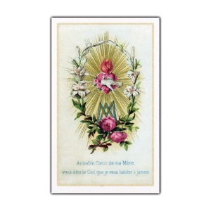 When I Say Hail Mary holy card