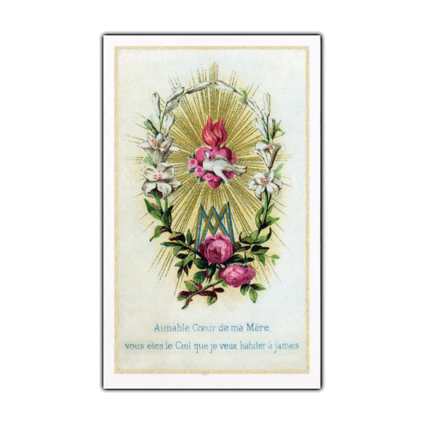 When I Say Hail Mary holy card